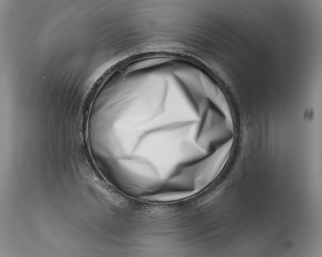 X0000113200830200910011254