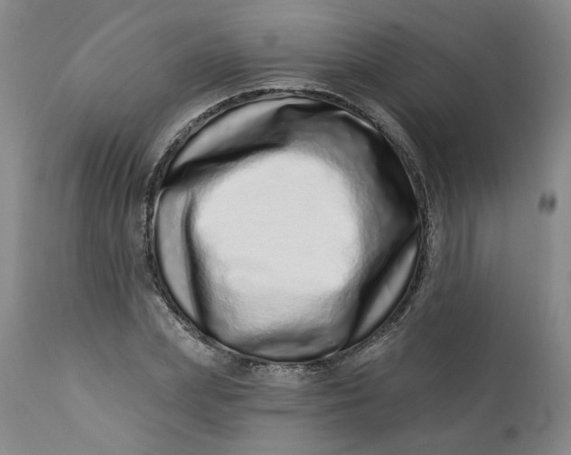 X0000113200831200910011254