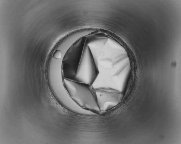 X0000113200832200910011254