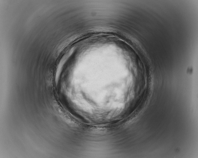 X0000113200833200910011254