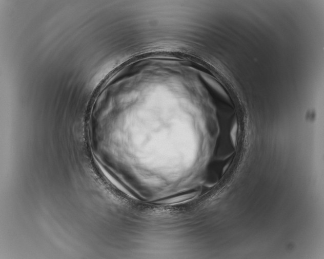 X0000113200834200910011254