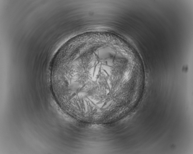 X0000113200835200910011254