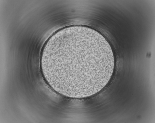 X0000113200836200910011254