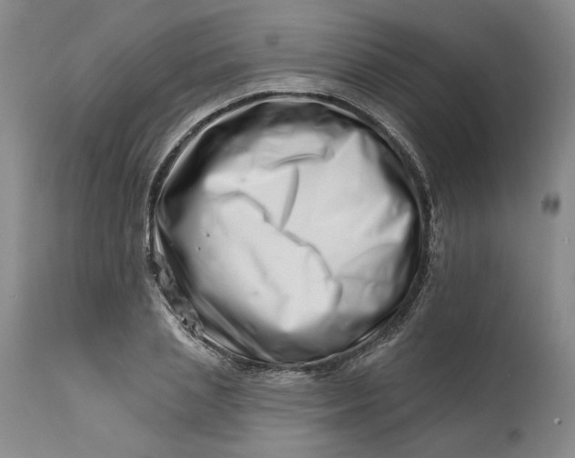 X0000113200837200910011254