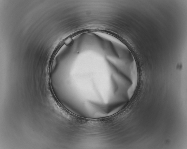 X0000113200840200910011254