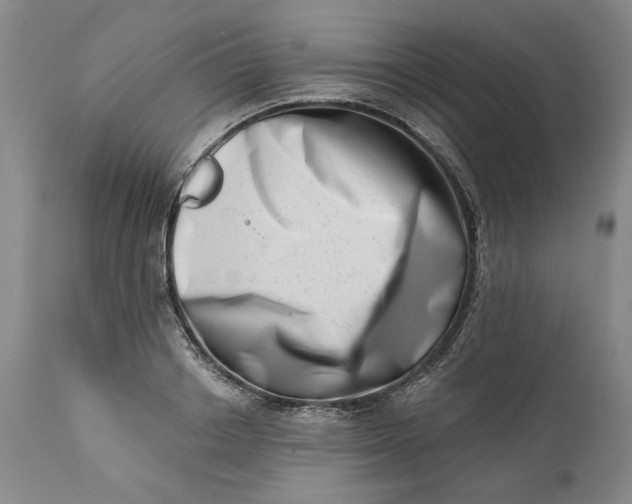 X0000113200842200910011254