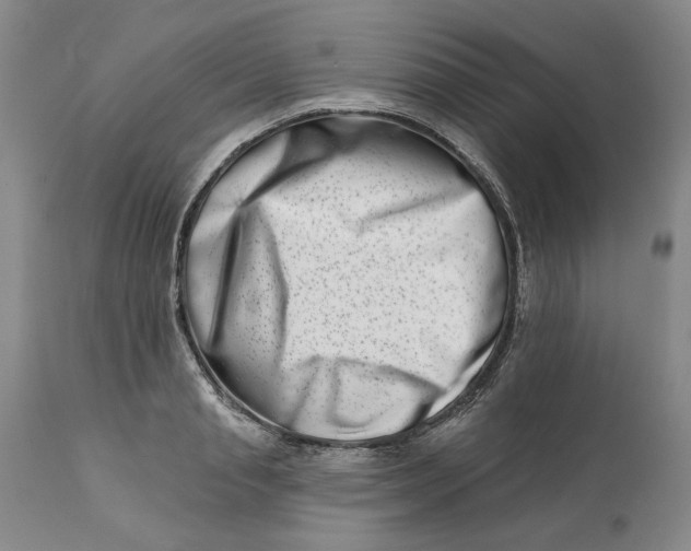 X0000113200845200910011254