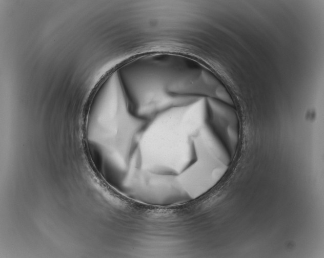 X0000113200846200910011254