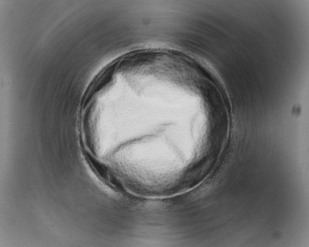 X0000113200847200910011254