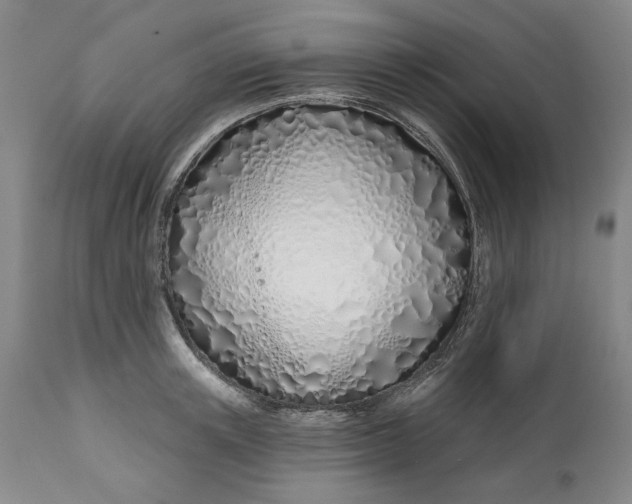 X0000113200851200910011254