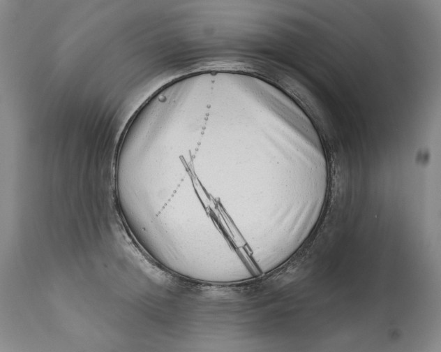 X0000113200852200910011254