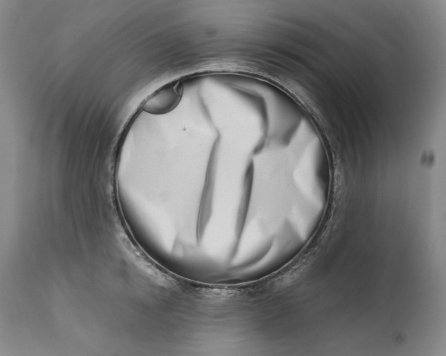 X0000113200854200910011254