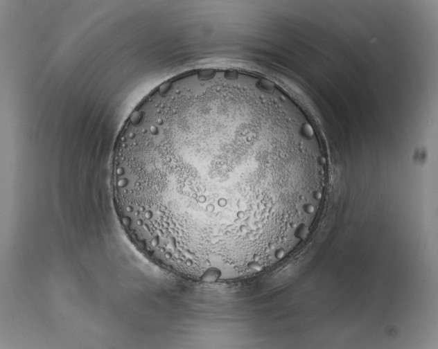 X0000113200855200910011254