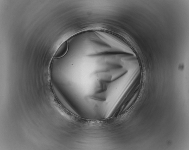 X0000113200858200910011254