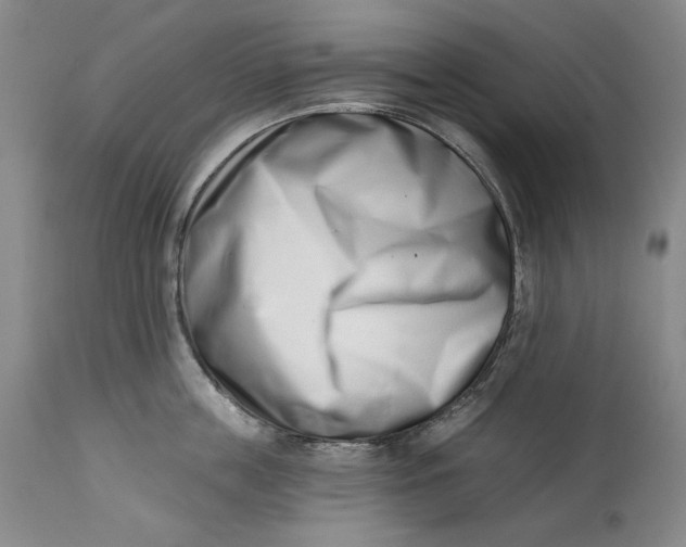 X0000113200859200910011254