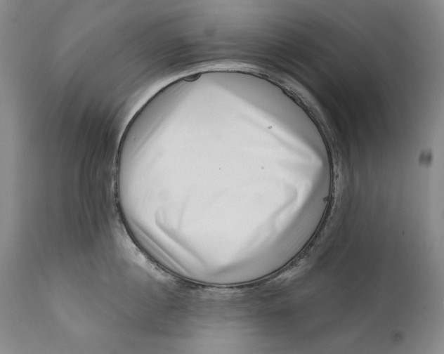 X0000113200860200910011254