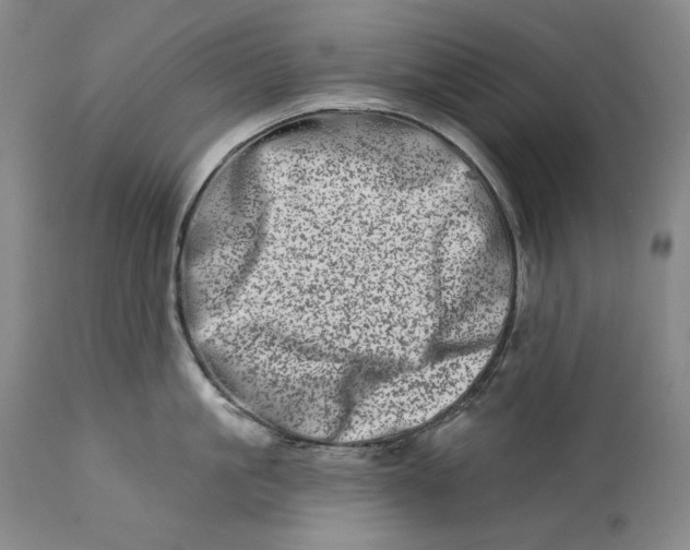 X0000113200861200910011254