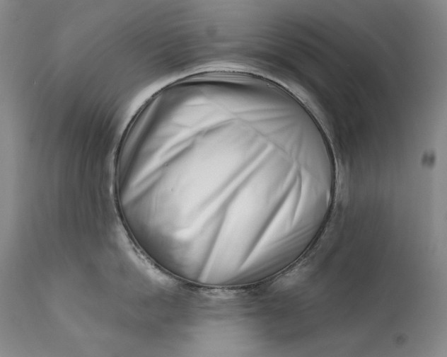 X0000113200862200910011254