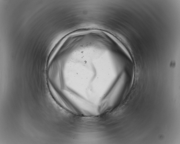 X0000113200863200910011254