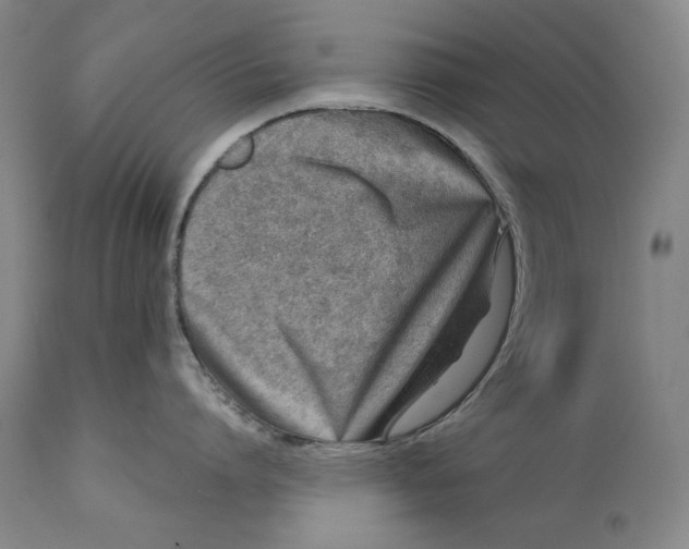 X0000113200864200910011254