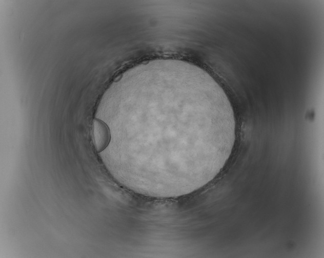 X0000113200865200910011253