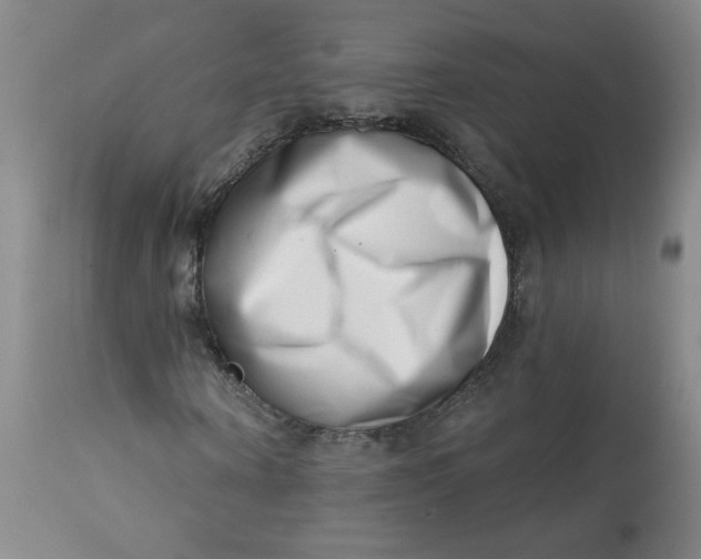 X0000113200866200910011253