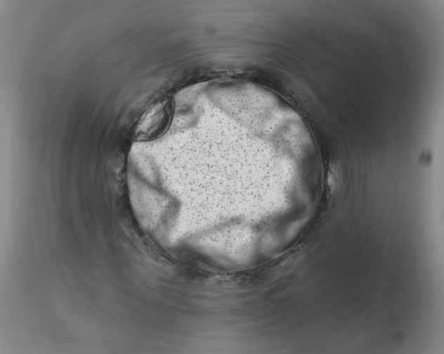 X0000113200867200910011253