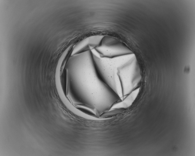 X0000113200868200910011253