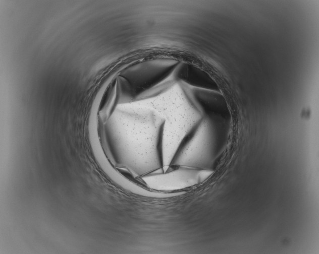 X0000113200869200910011253