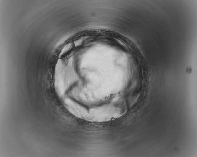 X0000113200871200910011253