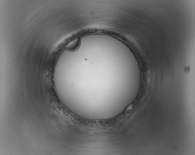 X0000113200872200910011253