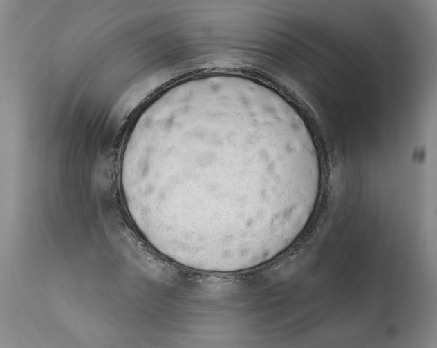 X0000113200874200910011253