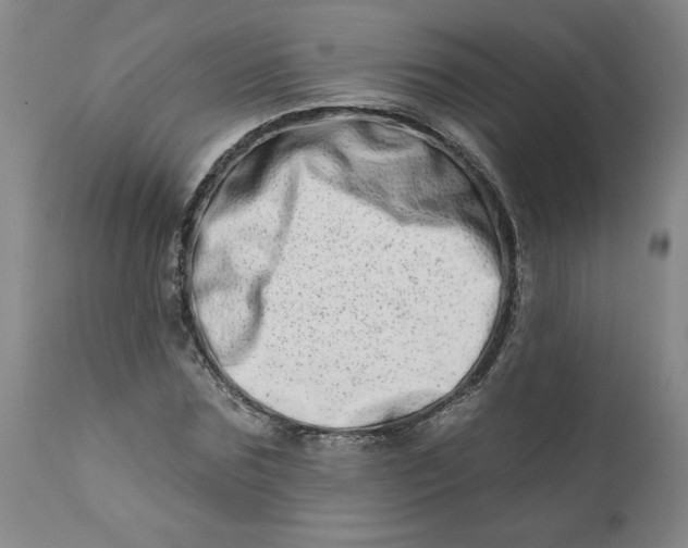 X0000113200875200910011253