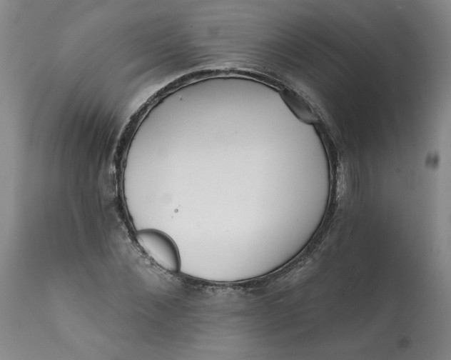 X0000113200876200910011253