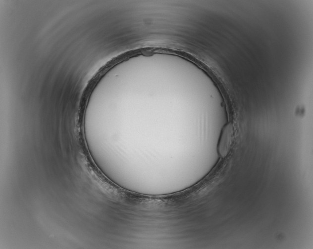 X0000113200880200910011253