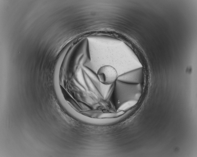 X0000113200881200910011253