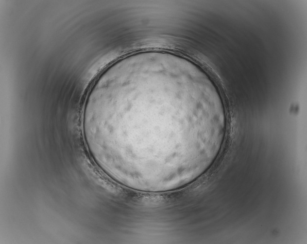 X0000113200882200910011253