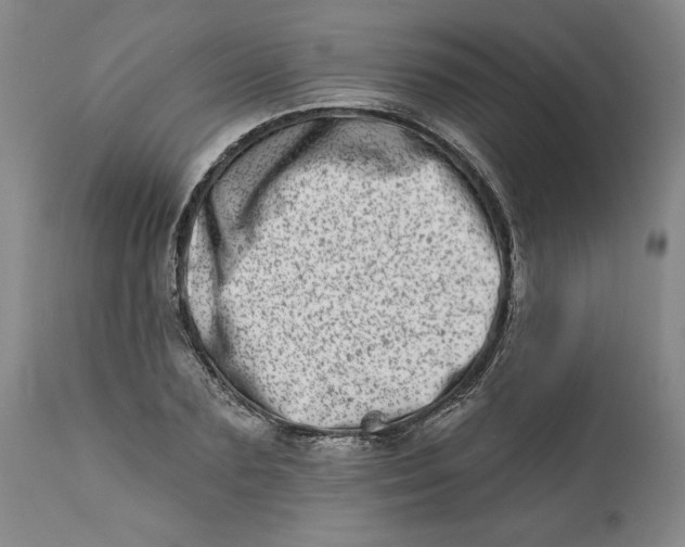 X0000113200883200910011253