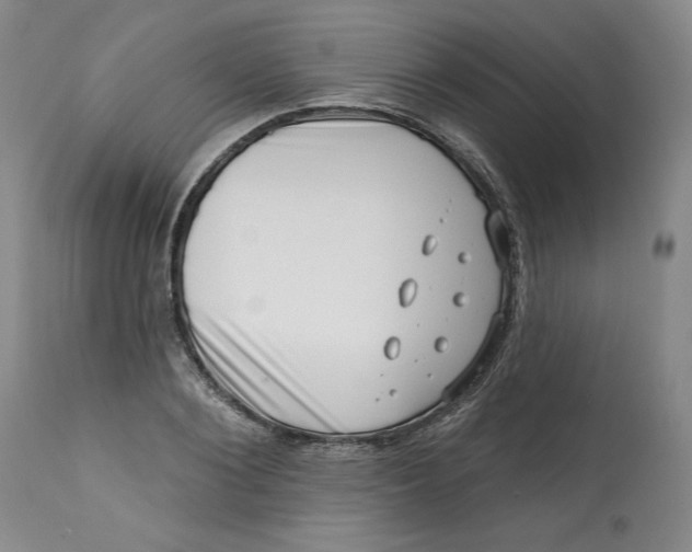 X0000113200884200910011253