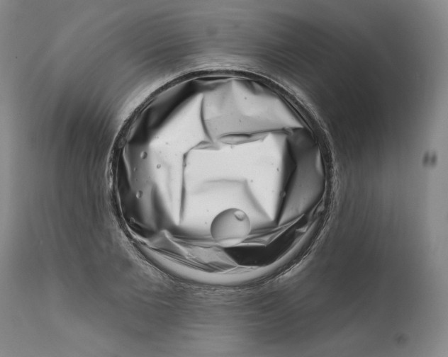 X0000113200885200910011253