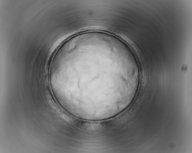 X0000113200886200910011253