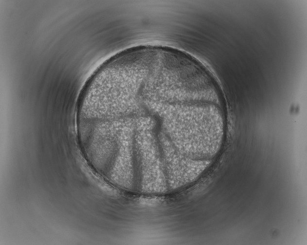 X0000113200887200910011253