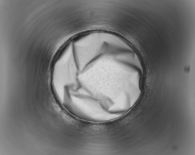 X0000113200888200910011253