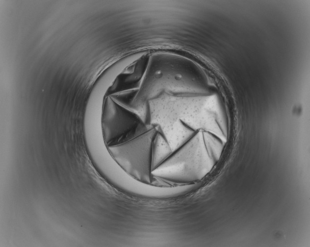 X0000113200889200910011253