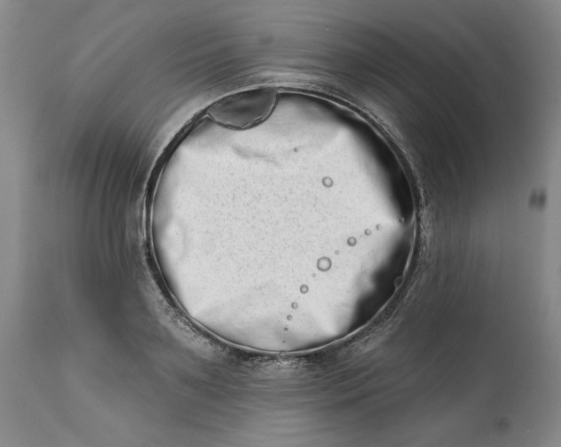 X0000113200891200910011253