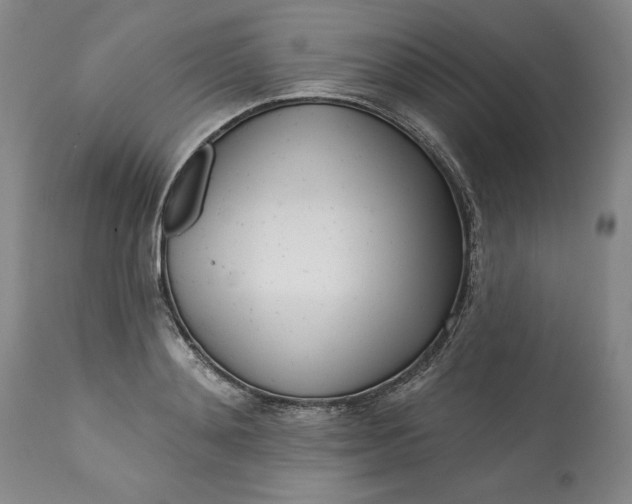 X0000113200892200910011253