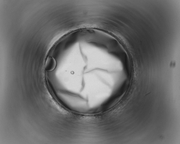 X0000113200894200910011253