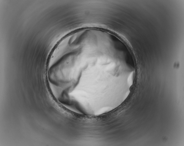 X0000113200895200910011253