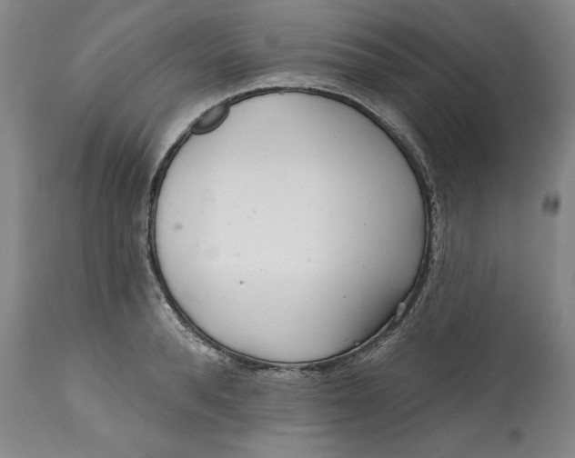 X0000113200896200910011253