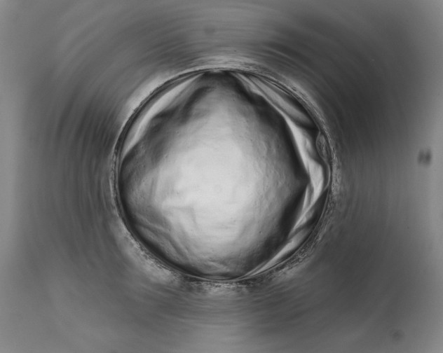 X0000113200899200910011253